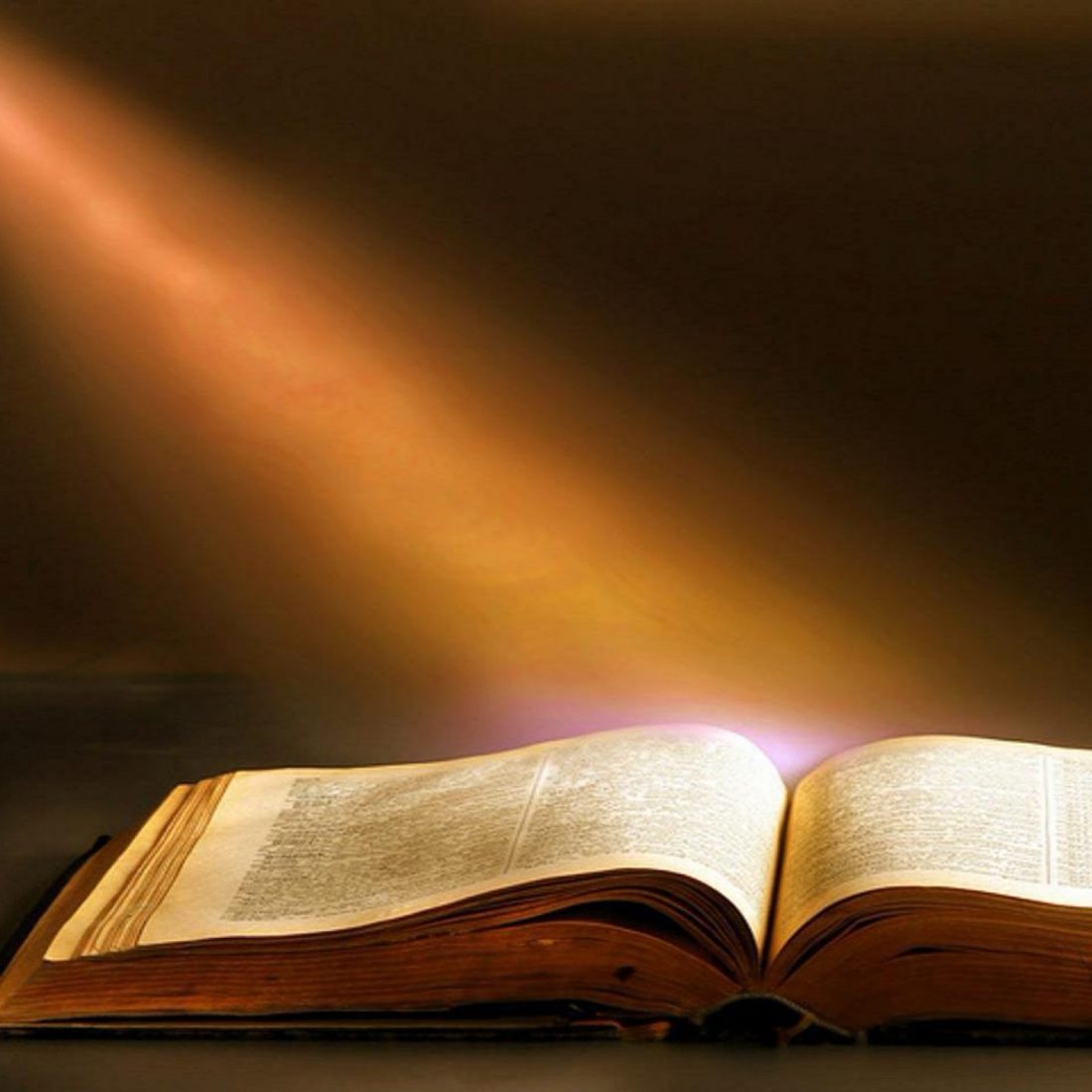 Saturday 19 September 2026: Study Morning: Reading the Bible – Exploring Different Approaches.